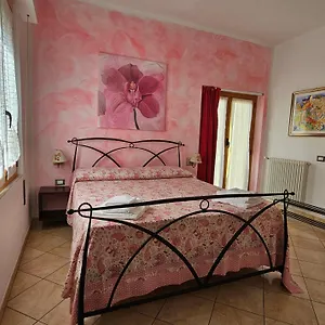 ** Bed & Breakfast Il Giardino In Citta Italy